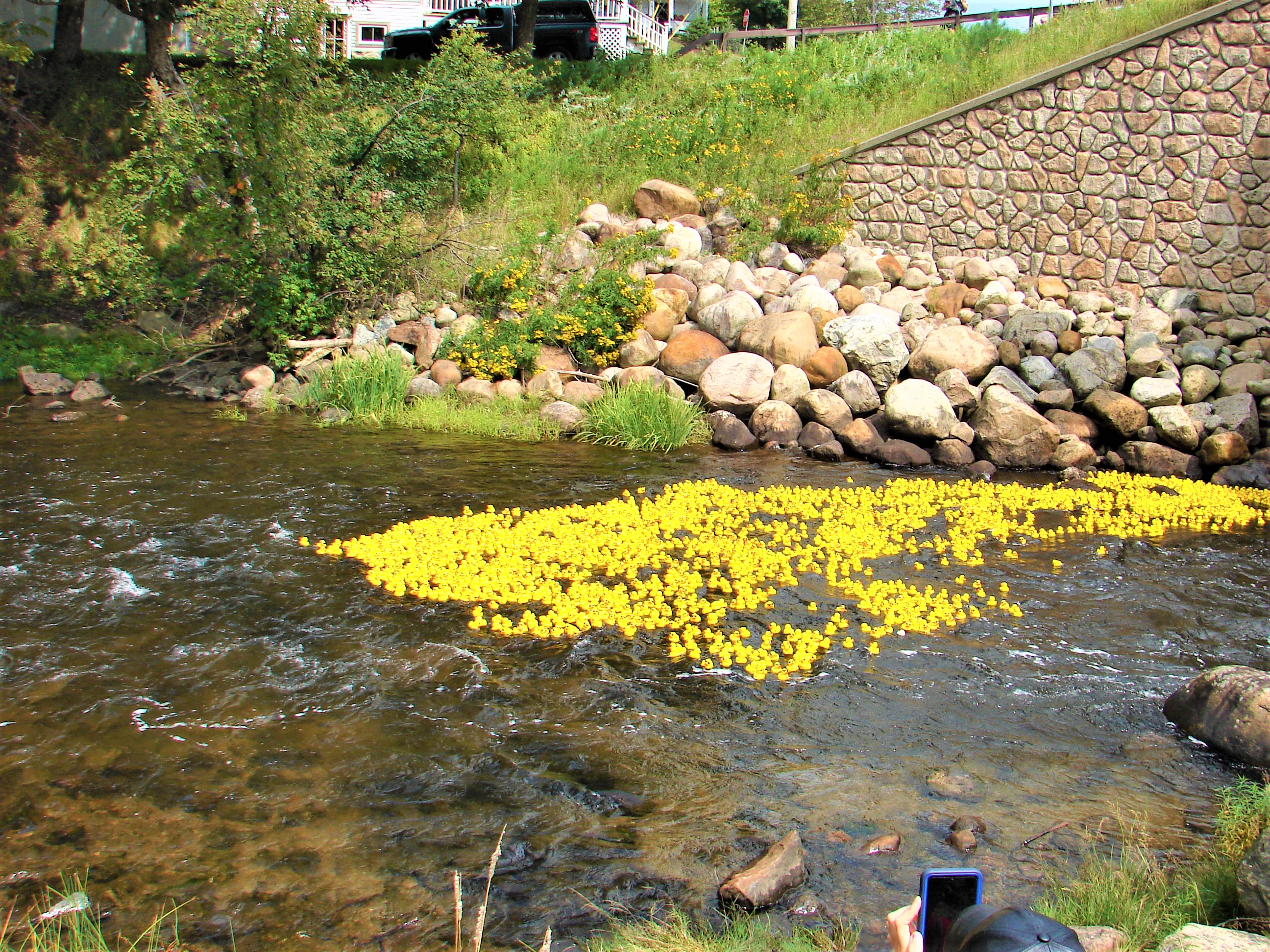 Annual CAP-PY Duck Derby; Race Time 12:30 PM